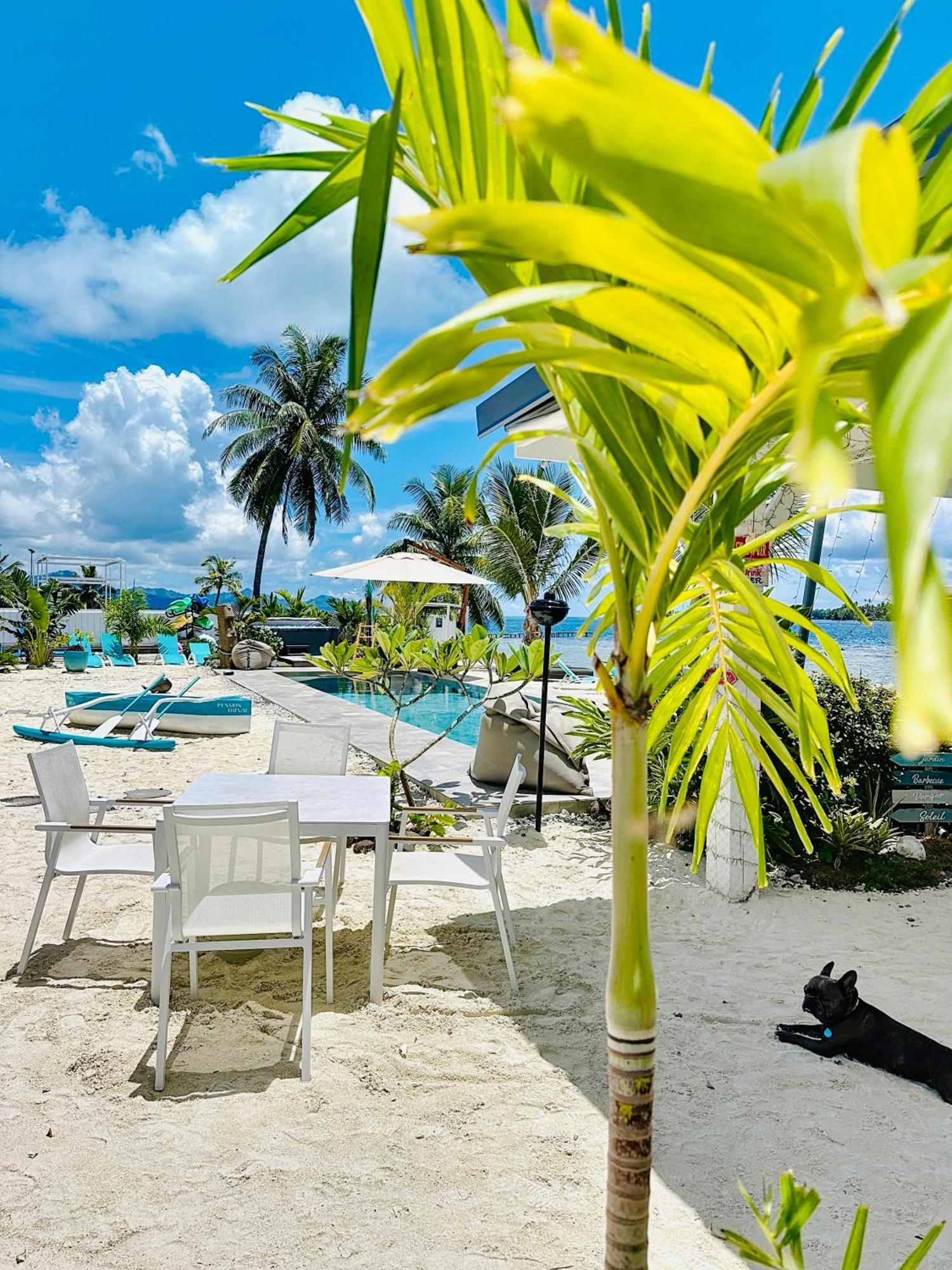 Pension Irivai, Appartement Uo Uo 3 Chambres Vue Mer Uturoa Esterno foto